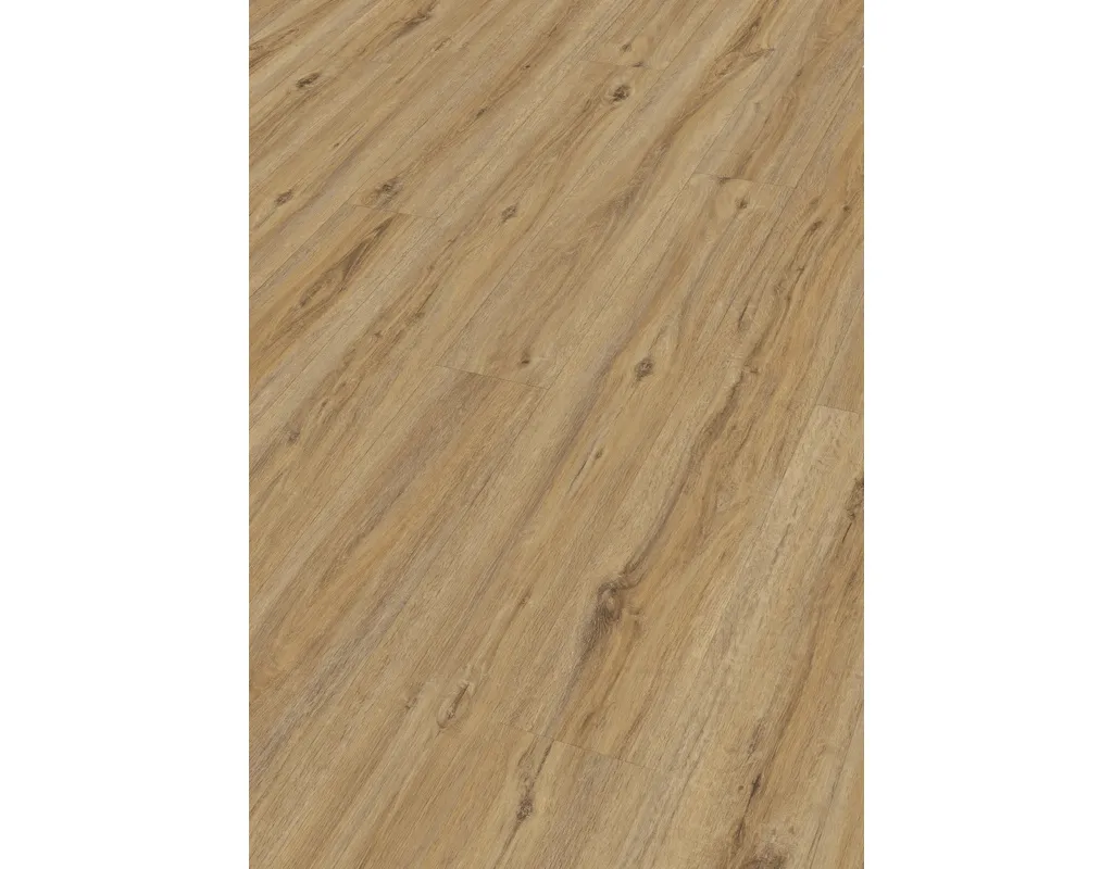 Vinylboden Eiche Altstätten