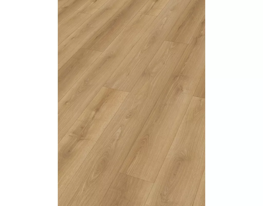 https://media.holzland.de/pim2/70380_7431_rigid_RL400S_Perspektive.jpg https://media.holzland.de/pim2/70380_7431_rigid_RL400S_Perspektive.jpg