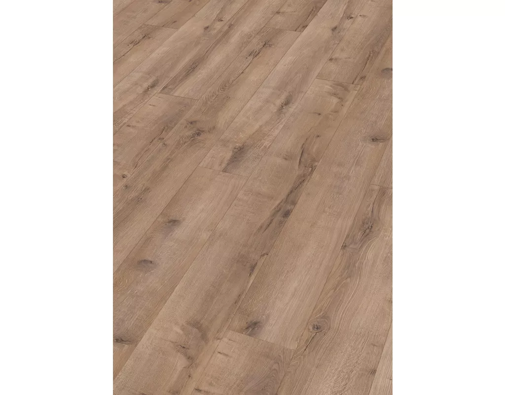 https://media.holzland.de/pim2/70380_7432_rigid_RL400S_Perspektive.jpg https://media.holzland.de/pim2/70380_7432_rigid_RL400S_Perspektive.jpg
