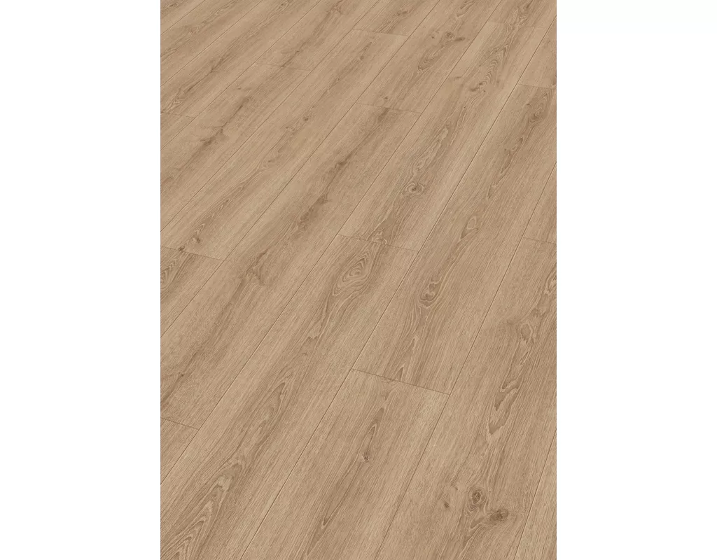 https://media.holzland.de/pim2/70380_6983_MeisterDesign_DD_Perspektive.jpg https://media.holzland.de/pim2/70380_6983_MeisterDesign_DD_Perspektive.jpg