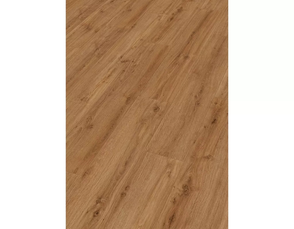 https://media.holzland.de/pim2/70380_6999_MeisterDesign_DD_Perspektive.jpg https://media.holzland.de/pim2/70380_6999_MeisterDesign_DD_Perspektive.jpg