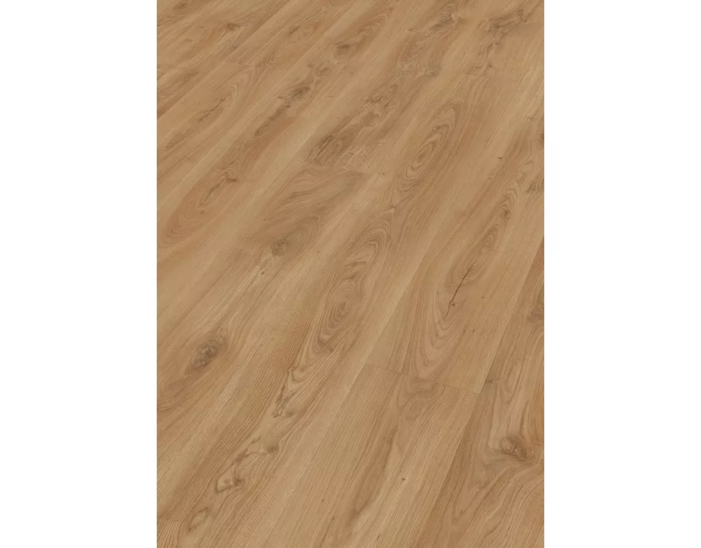https://media.holzland.de/pim2/70380_6836_MeisterDesign_DL_Perspektive.jpg https://media.holzland.de/pim2/70380_6836_MeisterDesign_DL_Perspektive.jpg