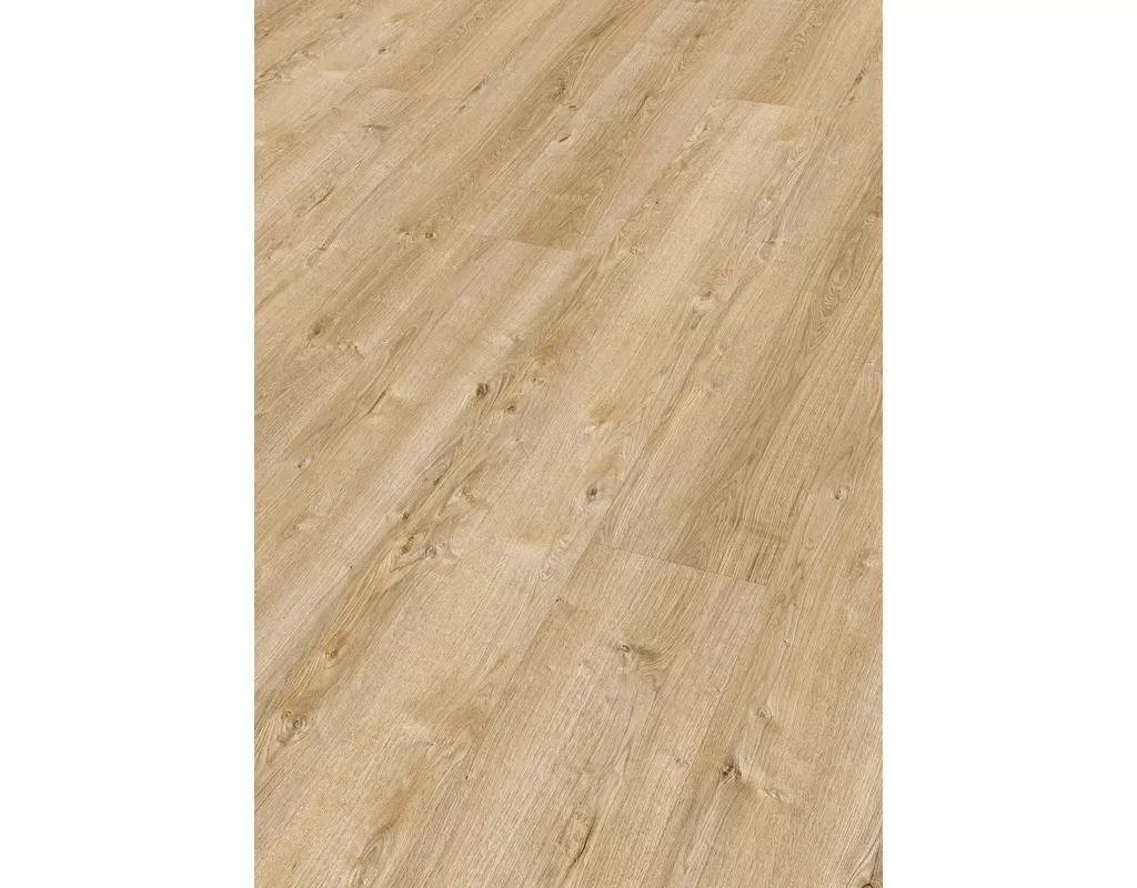 https://media.holzland.de/pim2/70380_6831_MeisterDesign_DL_Perspektive.jpg https://media.holzland.de/pim2/70380_6831_MeisterDesign_DL_Perspektive.jpg