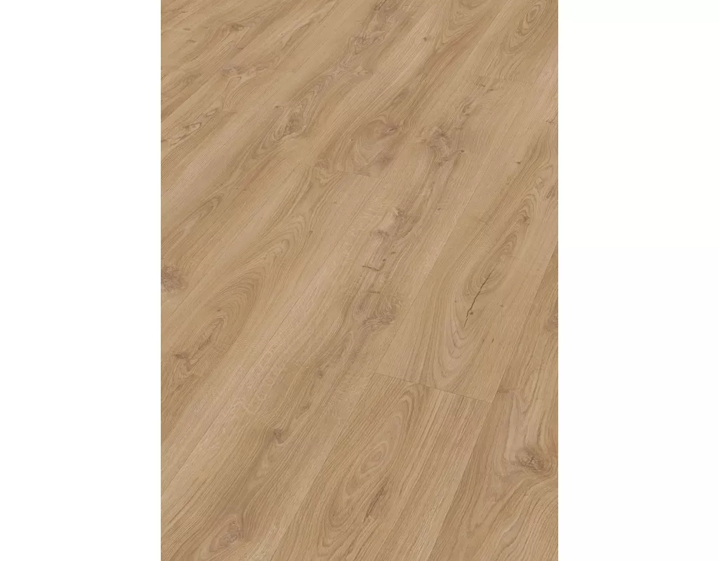 https://media.holzland.de/pim2/70380_6841_MeisterDesign_DL_Perspektive.jpg https://media.holzland.de/pim2/70380_6841_MeisterDesign_DL_Perspektive.jpg