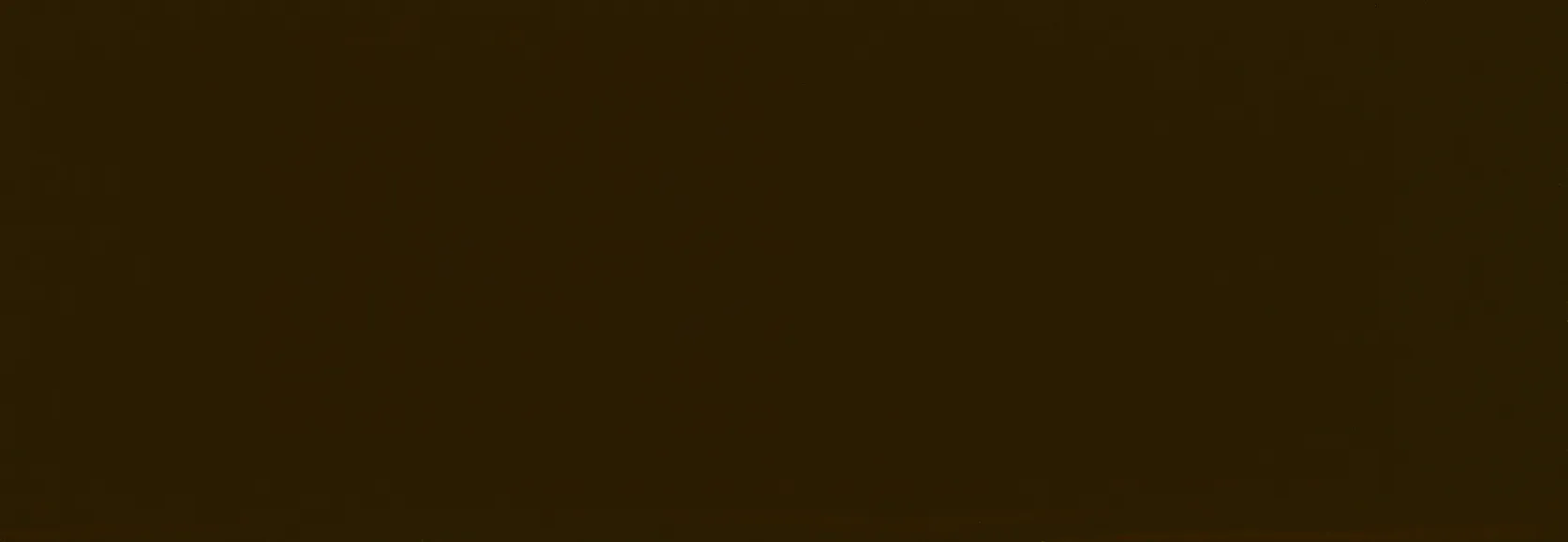 Landhausfarbe Mittelbraun 2,5 L