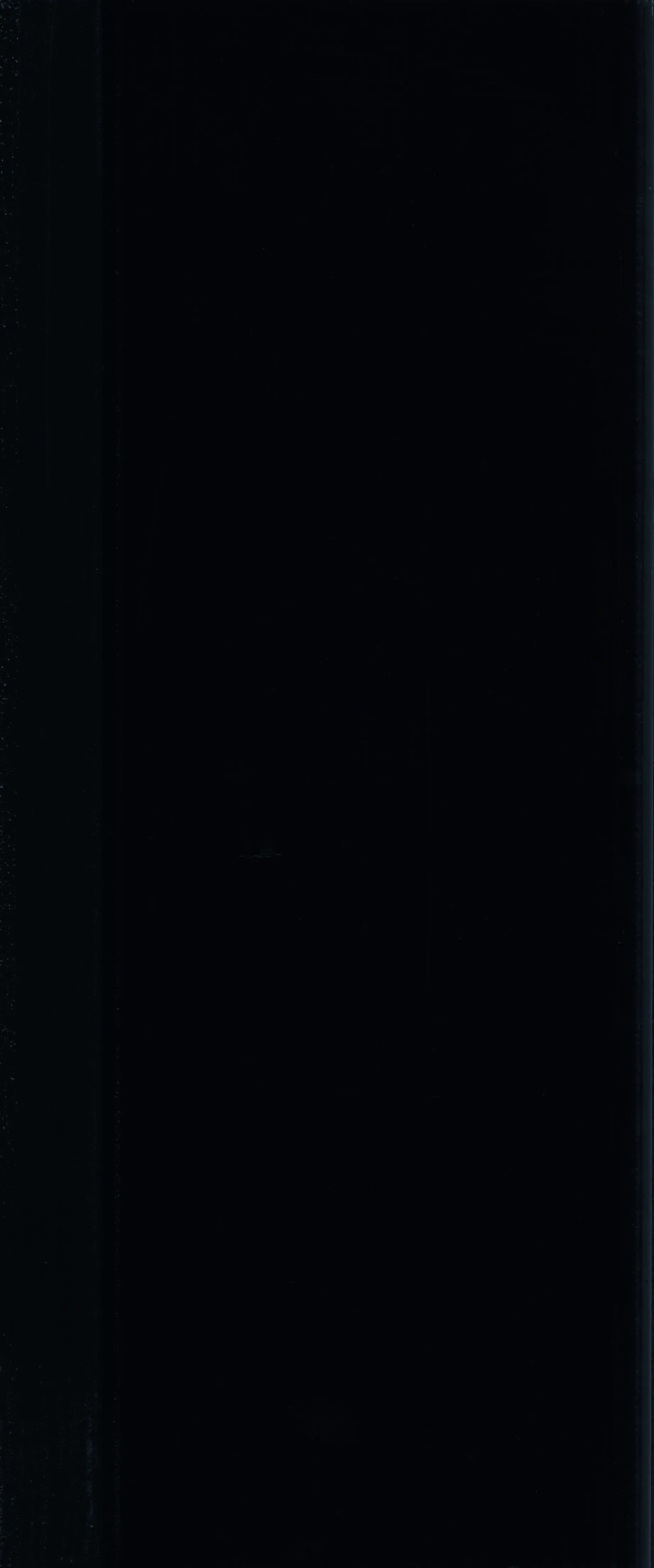 Garten-/Fassadenfarbe Tiefschwarz 0,75 L